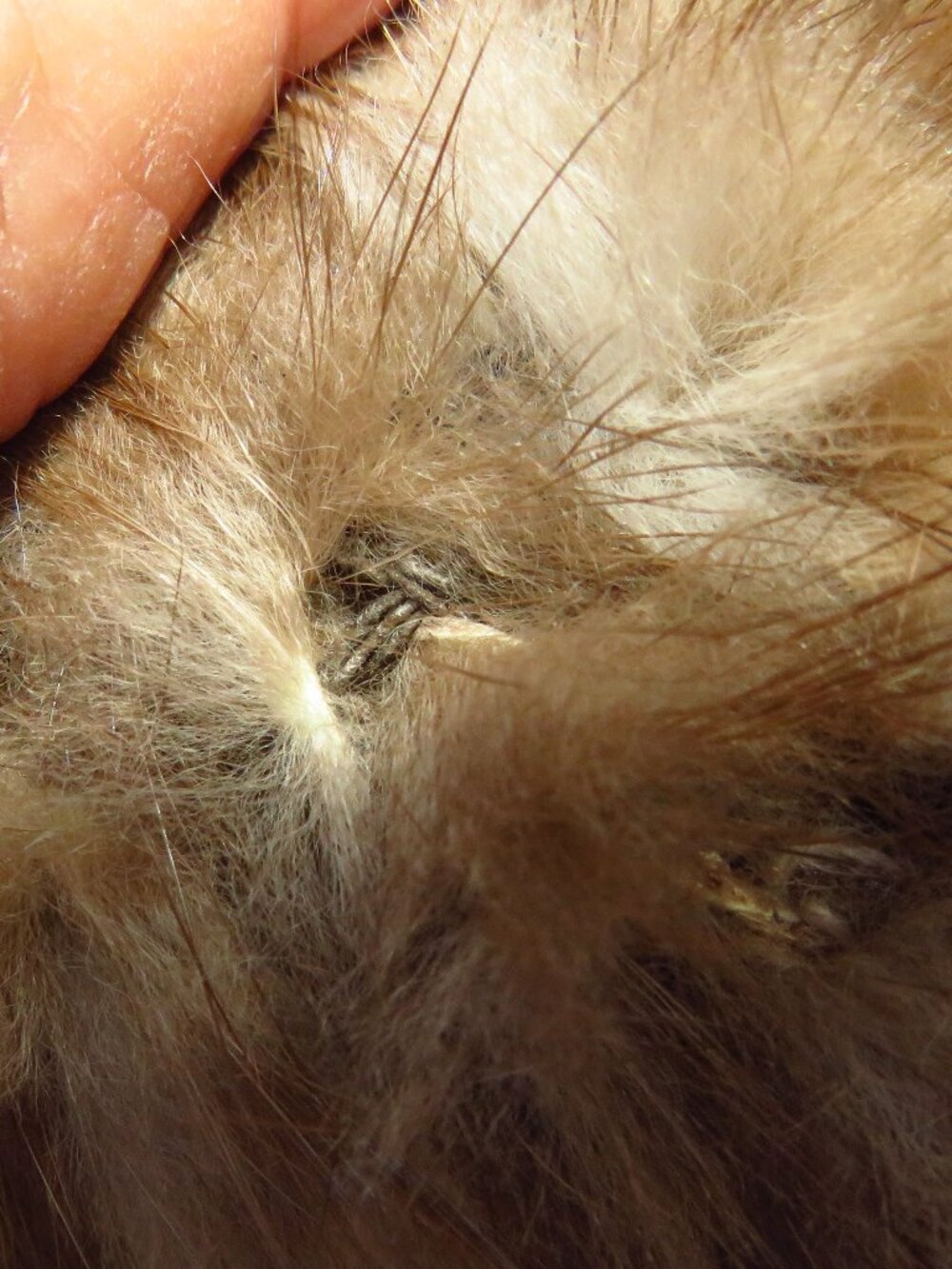 Linda Richards Luxury Fur Stole Genuine Fur - Picture 14 of 15